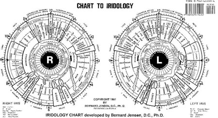 Diagramm iridology
