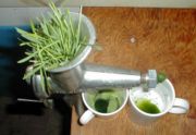 Juicing Whet Grass